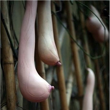 100 Pcs Vegetables And Fruit Seeds Melon Seeds Vietnam Milk Melon Seeds As A Womans Breast Bonsai Plants Seeds For Home