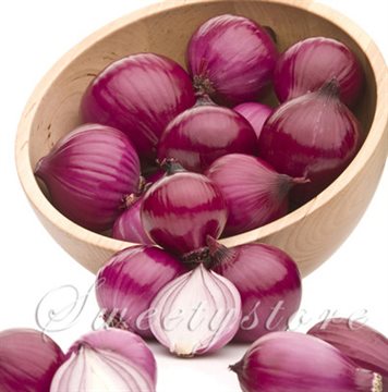 Fresh Giant purple Onion Seeds vegetable seeds 95% High germination vegetable for home garden Free Shipping